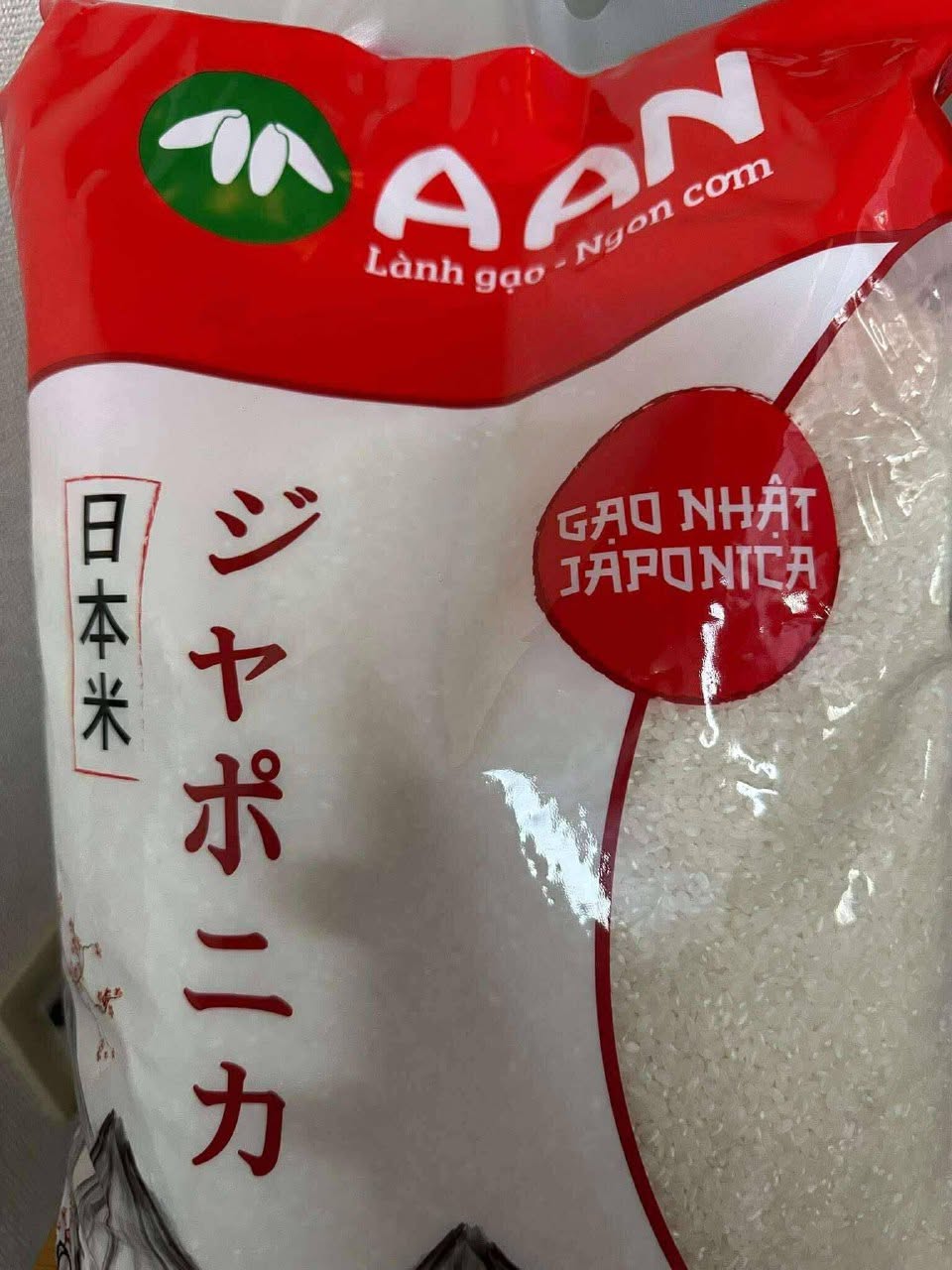 62ZH33