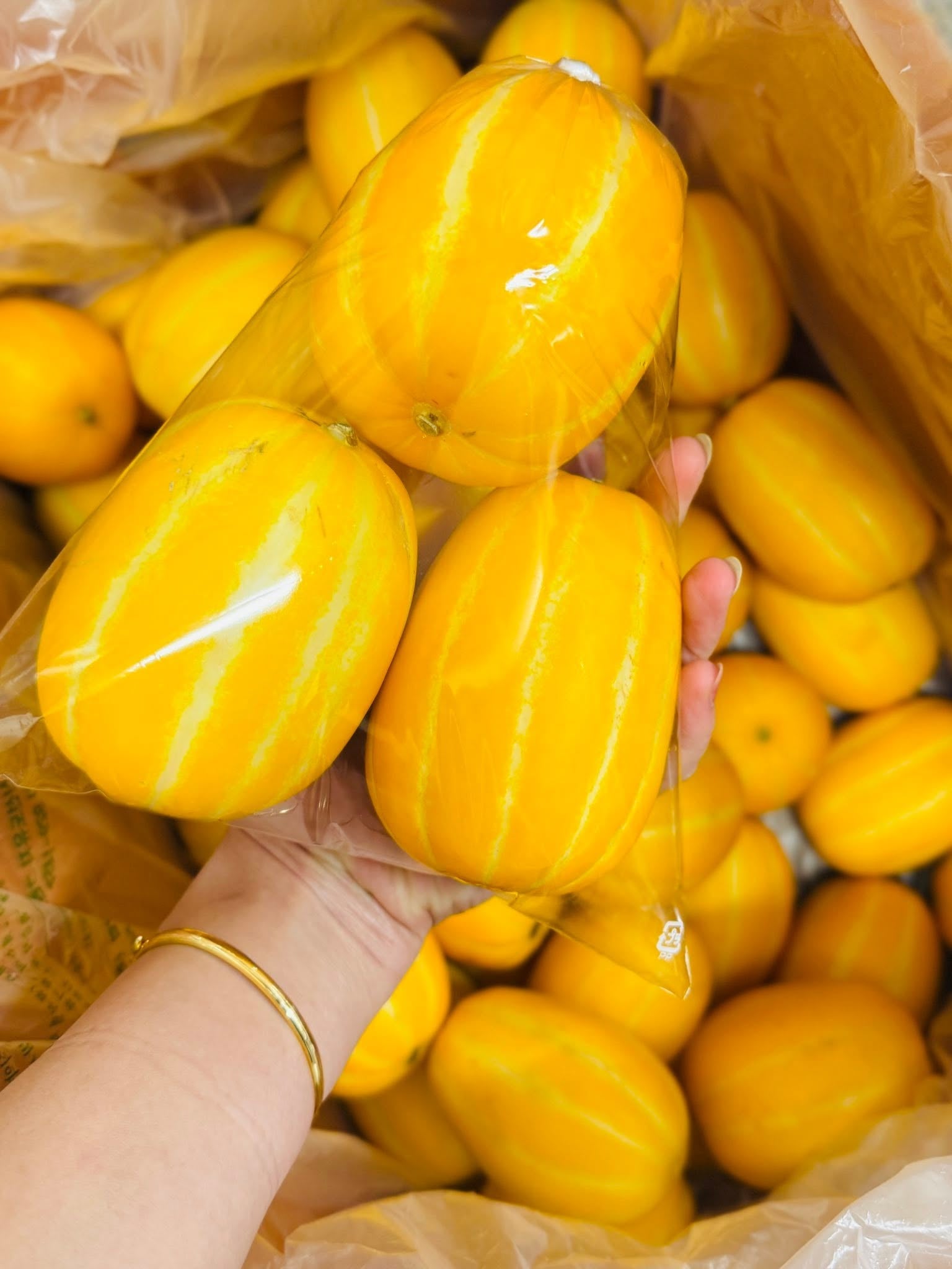 51OQ91