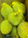 14GH51