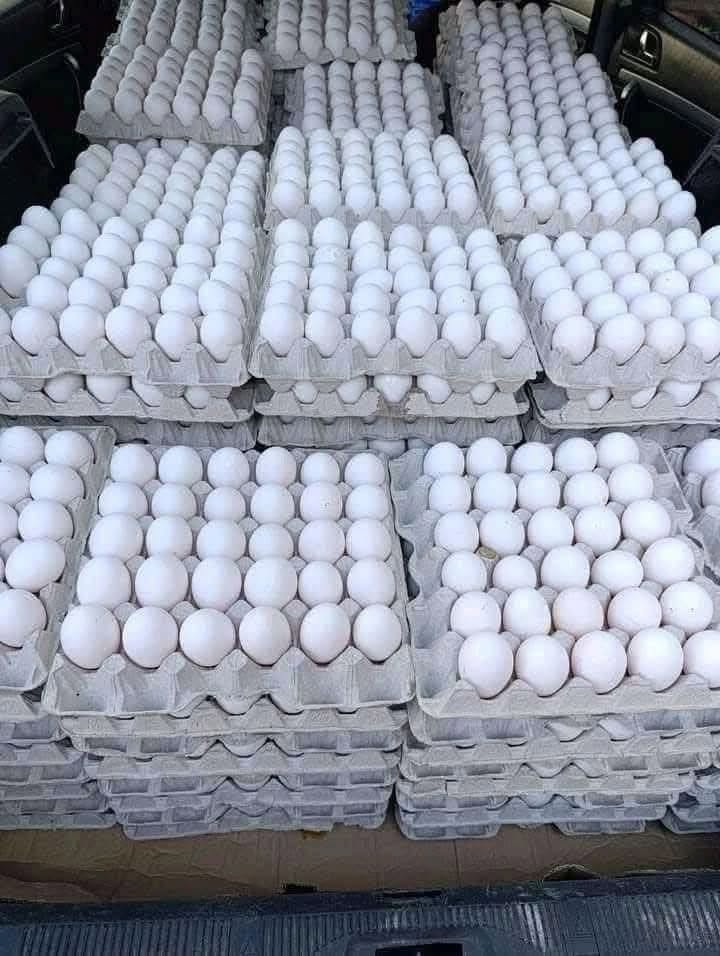 18QM54